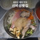 울릉도물회횟집 | 울릉도 물회 맛집 신비섬횟집 특물회 꽁치물회 내돈내산 추천 후기