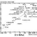 (후보주제) 인간을 넘보는 동물들의 지능과 예지력 이미지