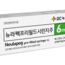 230 이미지