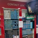 안경나래 이미지