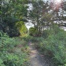 본오공원 화장실 이미지