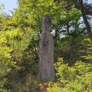용마루정비 | [화순] 기묘한 석불 석탑 가득한 신비로운 사찰 &#39;천불천탑 운주사&#39; 둘러보기