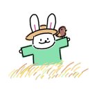 뽀삐애견 이미지