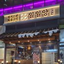 일일양충북 이미지