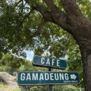 가마등 | 양산 원동 뷰카페 :: 가마등 후기 ☕️🌿