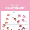 봄웜 추천 틴트, 립포션 슈가 글레이즈 17호 로즈쿠키볼 내돈내산 후기 💖✨