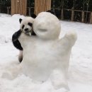 구름초밥 이미지