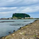 성산읍 고성오일장 이미지