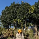 더끌림STAY | 제주 동쪽여행 구좌읍 가볼만한 곳