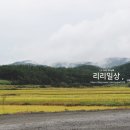1945 풀빌라 펜션 이미지