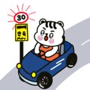 동일카독크