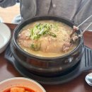 늘푸른종합상가 | 부천 삼계탕 맛집 오이삼계탕 부천점 가족모임 식당