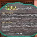 1박 2일 촬영지 덕봉산 생태 탐방로 이미지