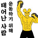 어셈블피티샵 이미지