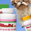 주식회사 밥펫 이미지