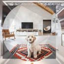 조항농로 | 상주 골든두들분양 선배가 전하는 현실 조언