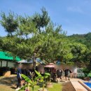 나폴리펜션 | 파주독채펜션 아이들데리고 다녀온 파주 나폴리 독채펜션 후기