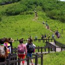 초록화원 이미지