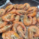 동갈매기 이미지