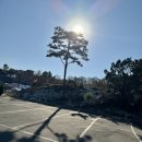 쥬니멀 전시장 이미지