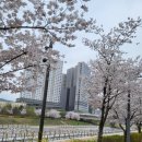 참(charm)행정사 사무소 이미지