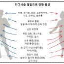 정수메디칼약국 이미지