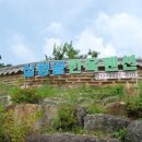 도림사계곡펜션 이미지