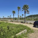 영어교육도시2교차로 2 | 제주 영어교육도시 인근 토지｜신도2교차로 일주도로변 투자용 토지