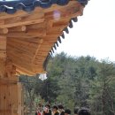 여삼리마을회관 Daum카페