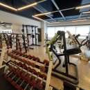 91Fit | 세종 나성동 헬스장 91FIT 운동 후기