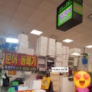 세성문어 이미지