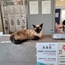 별이랑 놀자 이미지