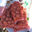 김양원농장 이미지