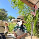 주산리(광주) | 광주 근교 장성 아이랑 가볼만 한 곳 리틀가드너52 야외 오감 체험 내돈내산 후기 ( 키즈클래스 )