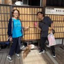 Kōchi City: A Delightful Story of My Hometown in Japan 이미지