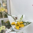 디어로즈무드 이미지