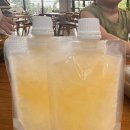 귤담집 | 보메와산감귤체험농장 &amp; 보메와산카페