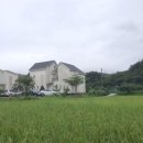 세븐스프링스펜션 이미지