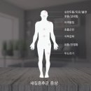 라베이크 이미지