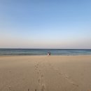 망상오토캠핑리조트 이미지