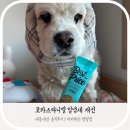 yes덴탈 | [미남이 덴탈 케어] 베스트 프라이스 치카루틴 덴탈껌 솔직 후기