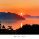 비커밍풀빌라펜션 이미지