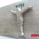 성경메디칼