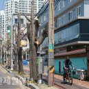 염포로 이미지