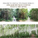 8/20~8/21 (토.일) 천상의화원 곰배령 /인제 자작나무숲길. 바다향기길.낙산사.♡159,000원(숯불바베큐포함). 37석리무진운 이미지