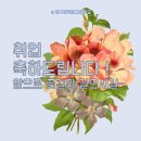 디아젠 네이버블로그