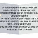 오리와황금돼지