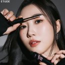 브로우;딘 이미지
