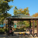 서울숲10 이미지