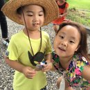 학봉초교병설유치원 이미지